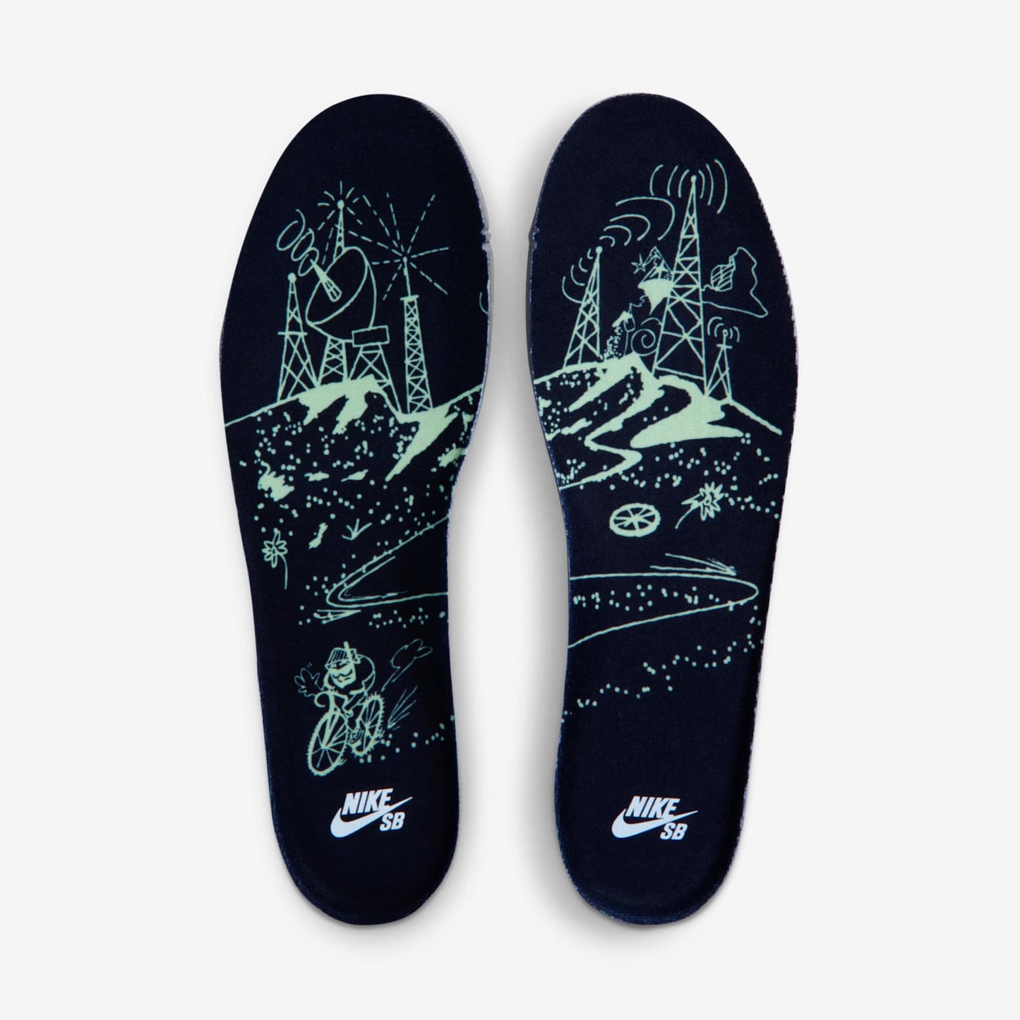 TÊNIS NIKE SB DUNK LOW PRO VERDUGO