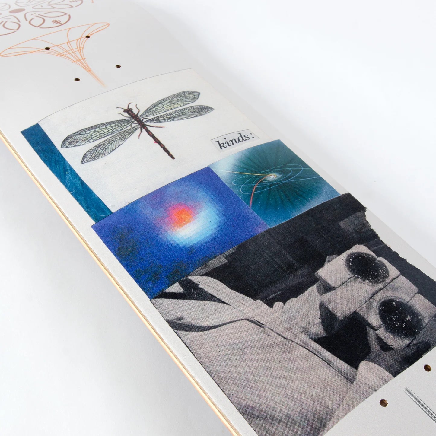 SHAPE AWS JOEY O BRIEN KINDS 8.125"