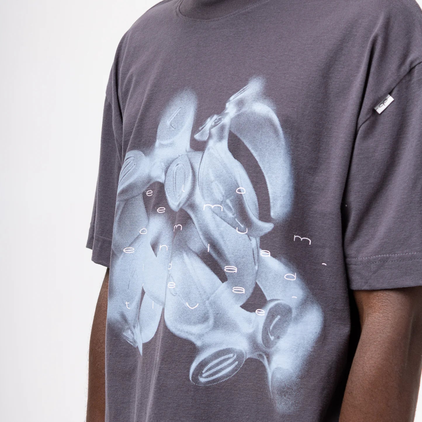 CAMISETA ELO EM COMUM SCARAB REGULAR CINZA