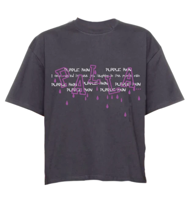 CAMISETA PALLA PURPLE RAIN CINZA