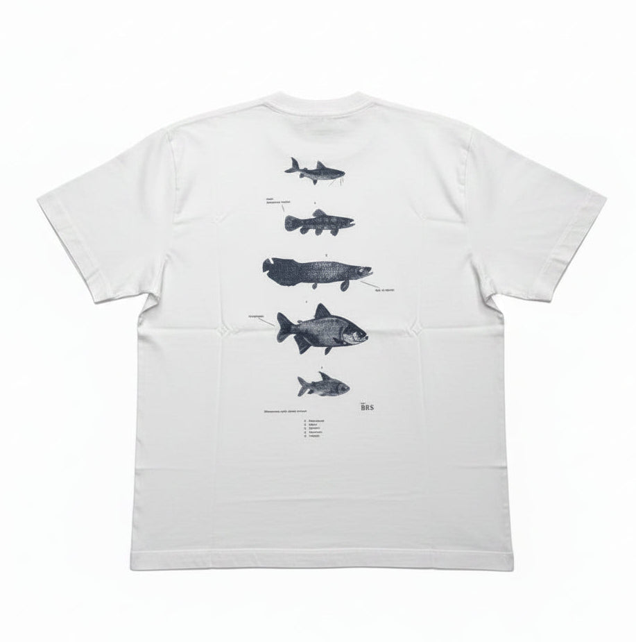 CAMISETA ÖUS PEIXES KHAKI