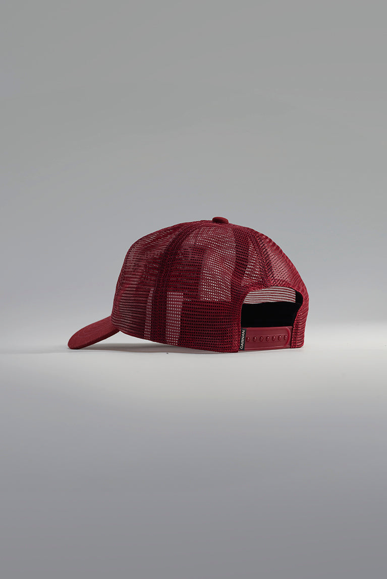 BONÉ CARNAN HORSESHOE BROWN
