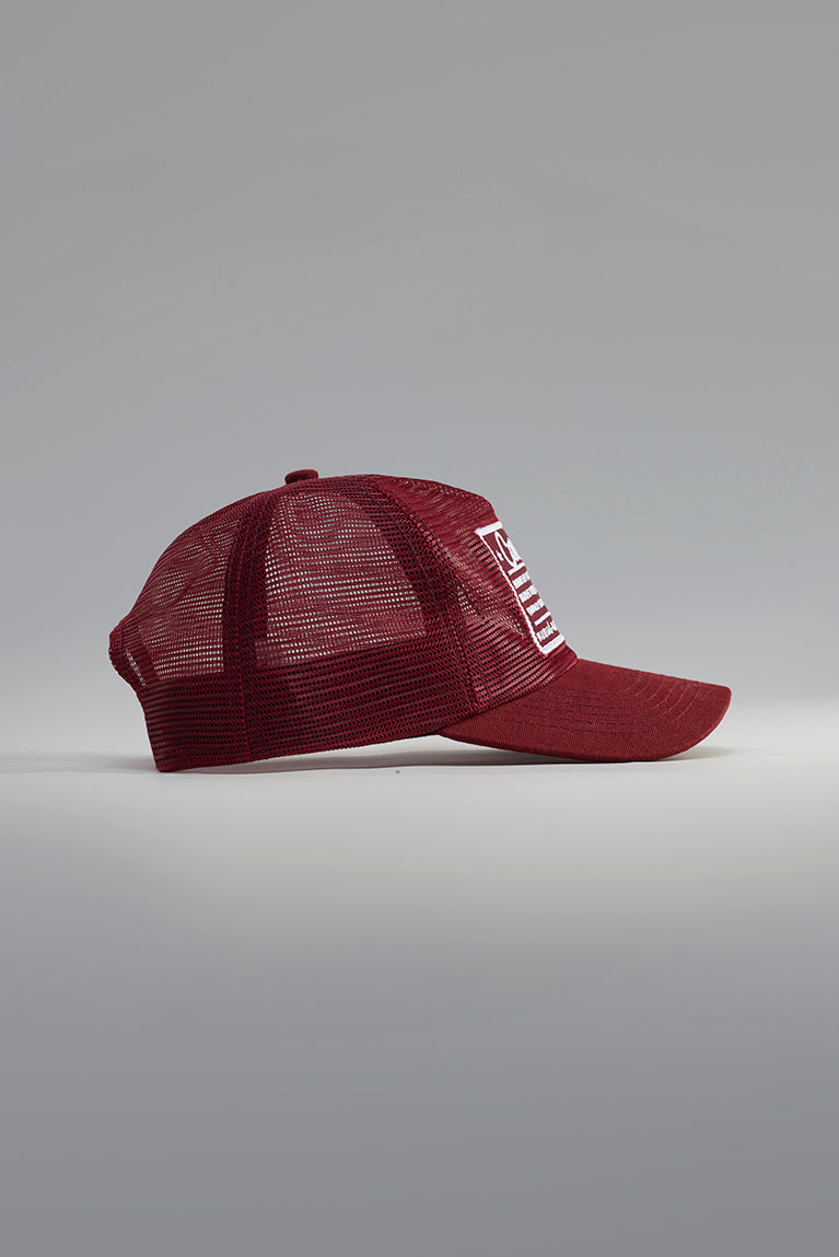 BONÉ CARNAN HORSESHOE BROWN