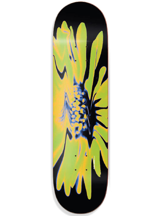 SHAPE COLORS YELLOW FLOWER 8.25"