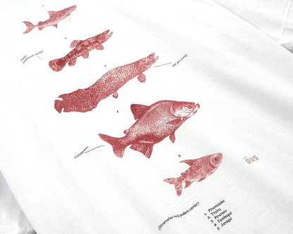 CAMISETA ÖUS PEIXES BRANCO