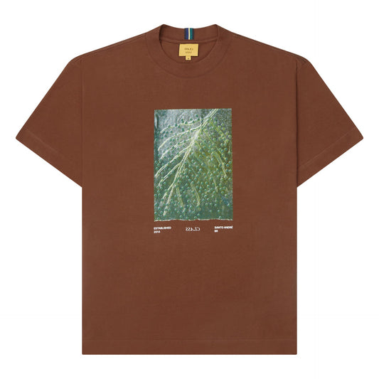CAMISETA CLASS ACAÍ BROWN