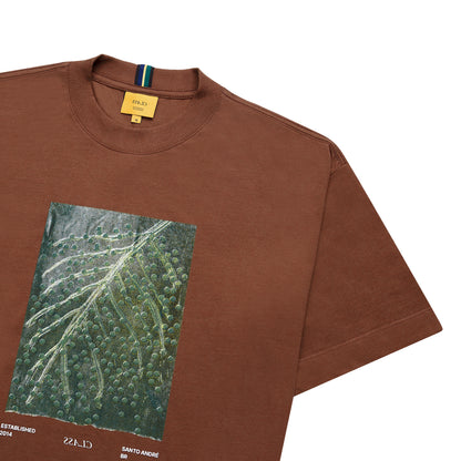 CAMISETA CLASS ACAÍ BROWN