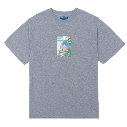 CAMISETA TROPICALIENTS ACID CINZA MESCLA