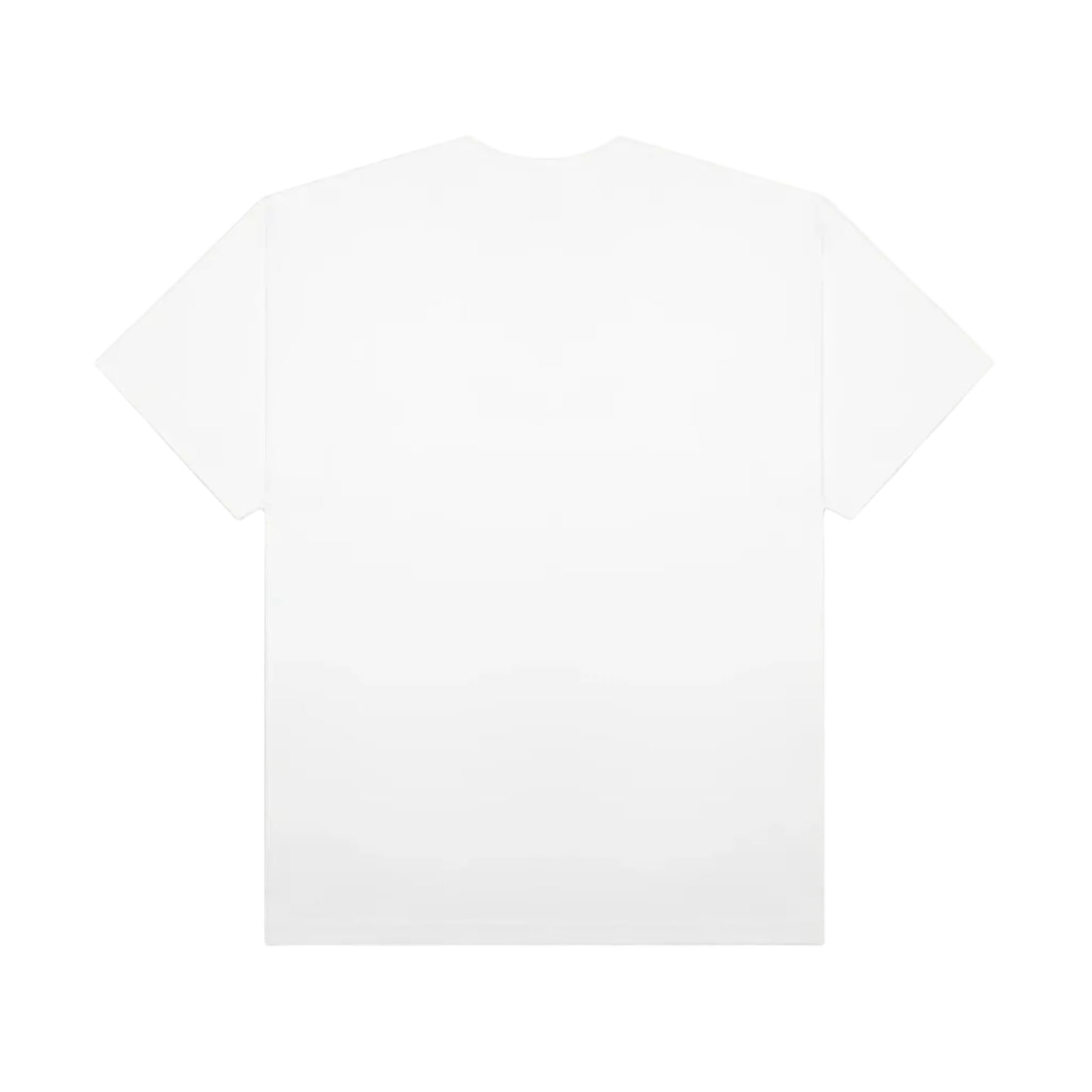 CAMISETA VANS CLASSIC SCRIPT WHITE