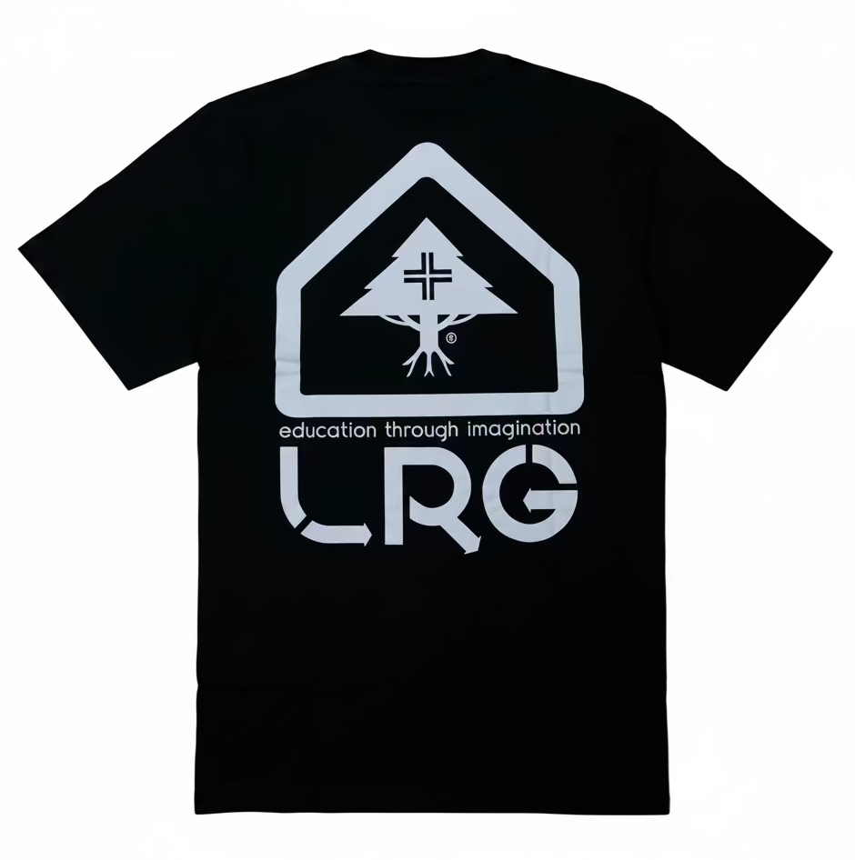 CAMISETA LRG LOGO BOX TREE PRETO