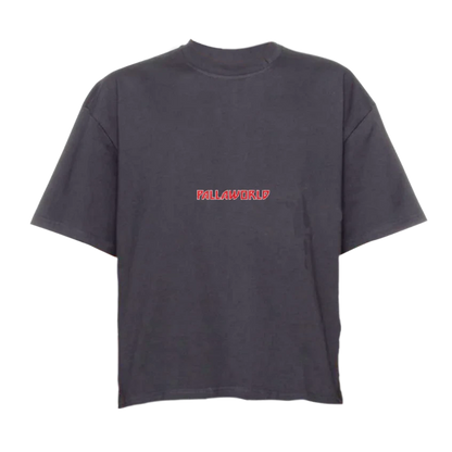 CAMISETA PALLA SCRIPTURE CINZA