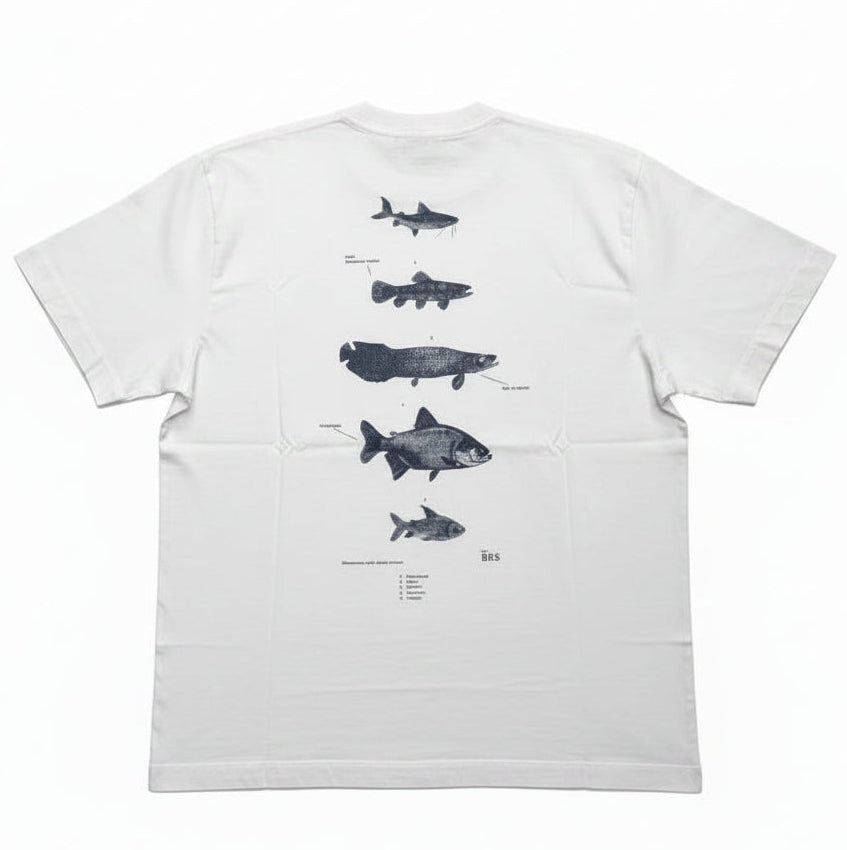 CAMISETA ÖUS PEIXES KHAKI