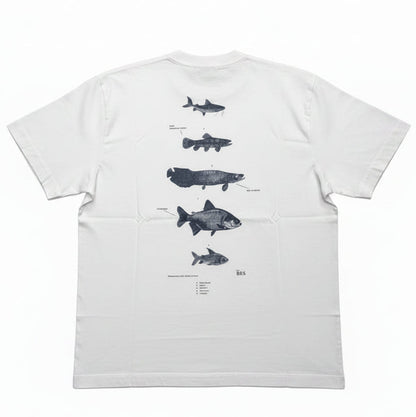CAMISETA ÖUS PEIXES KHAKI