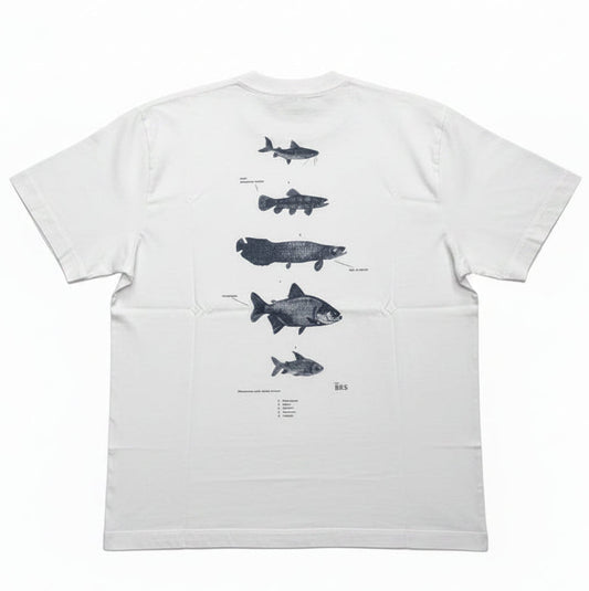 CAMISETA ÖUS PEIXES KHAKI