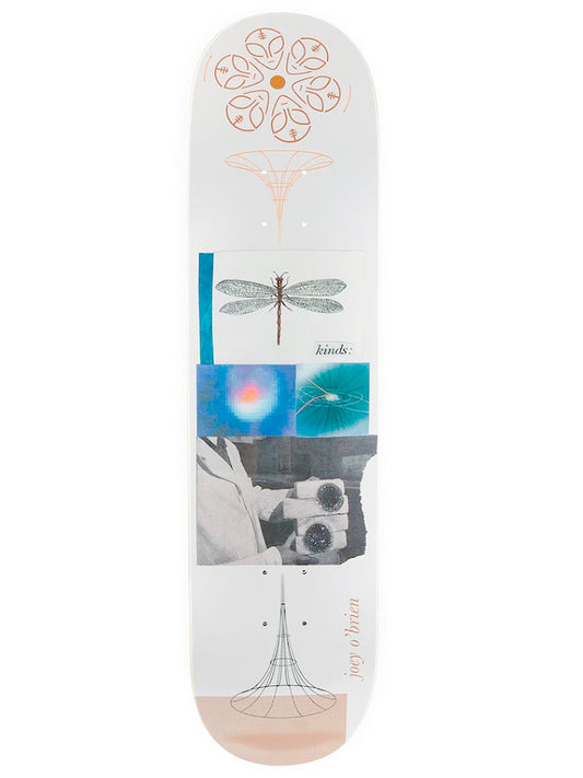 SHAPE AWS JOEY O BRIEN KINDS 8.125"
