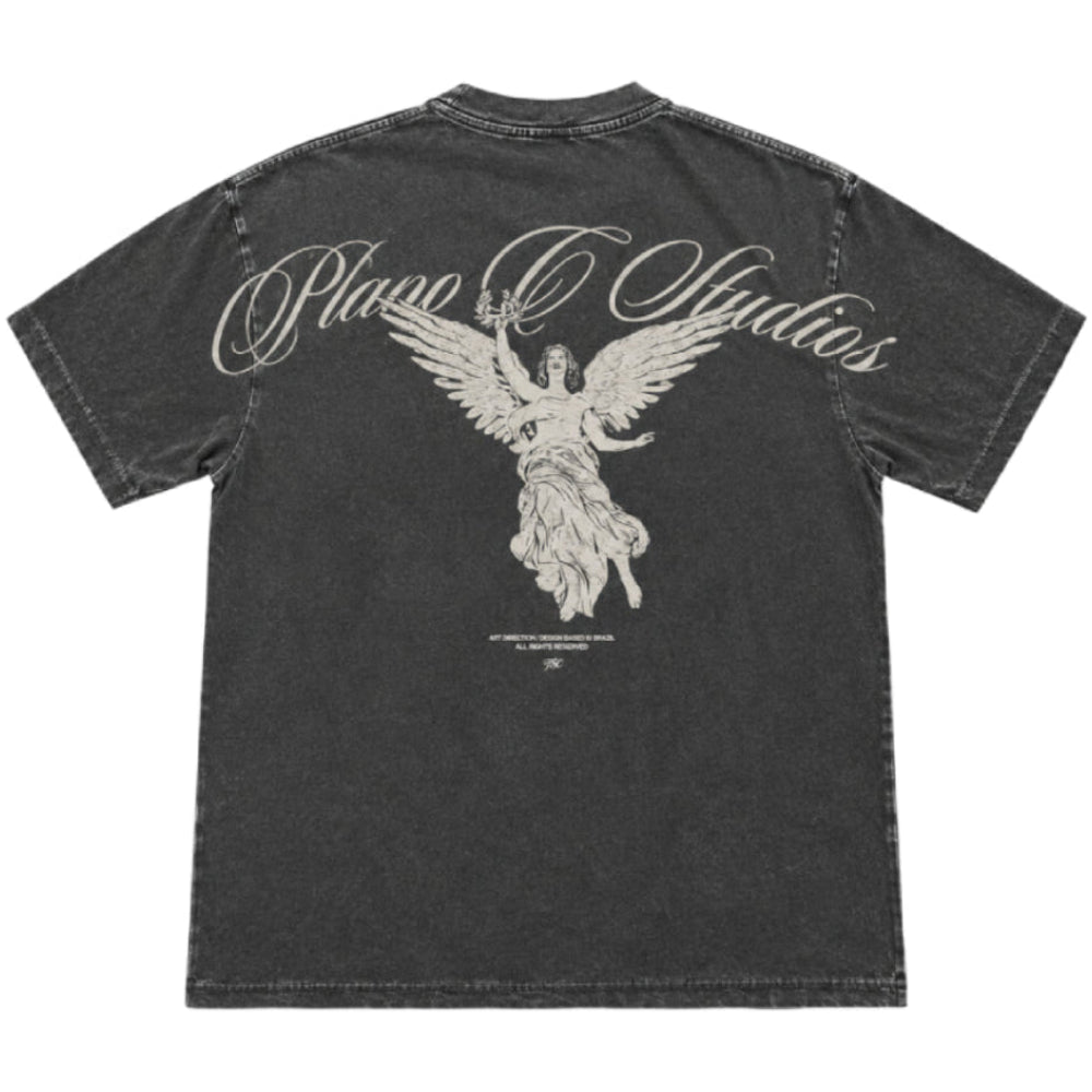 CAMISETA PLANO C WASH LAUREL GRAFITE