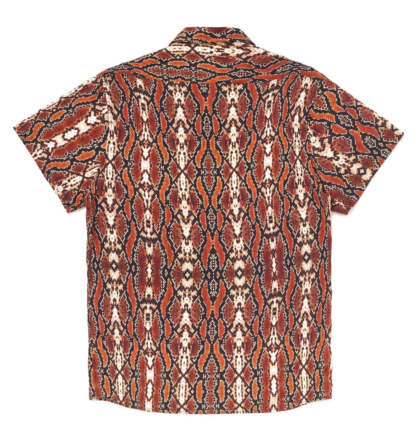 CAMISA BOLOVO KOBRA ESTAMPADO